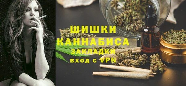 бошки Заводоуковск