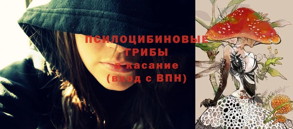 бошки Заводоуковск