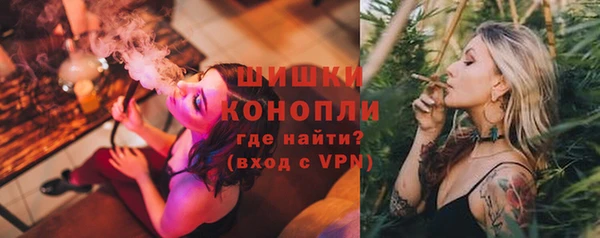 бошки Заводоуковск